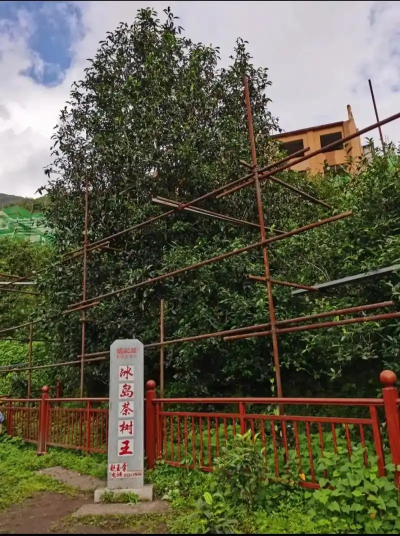 冰岛老寨,隶属于双江拉祜族佤族布朗族傣族自治县勐库镇,距离勐 - 抖