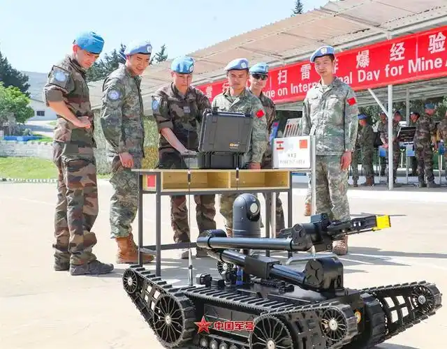 今天,为你郑重介绍我的"蓝盔"朋友!