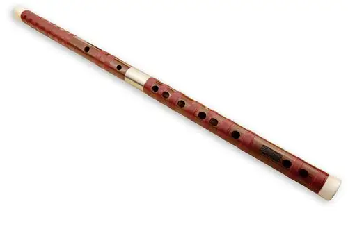 到了唐代,出现了前面六孔,旁边一孔,加有竹膜的笛子,直到这时笛箫的