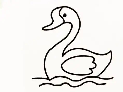 白鹅图片简笔画手抄报 手抄报版面设计图