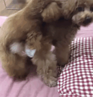 300_313gif 动态图 动图