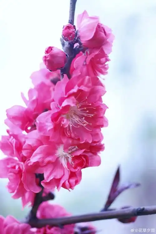 690_1035竖版 竖屏