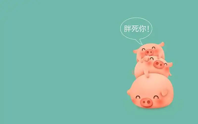 临摹猪猪,三只萌小猪