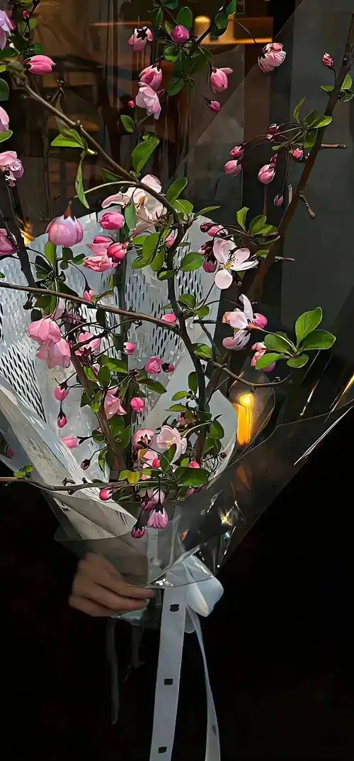 壁纸私藏小众高级感ins风壁纸