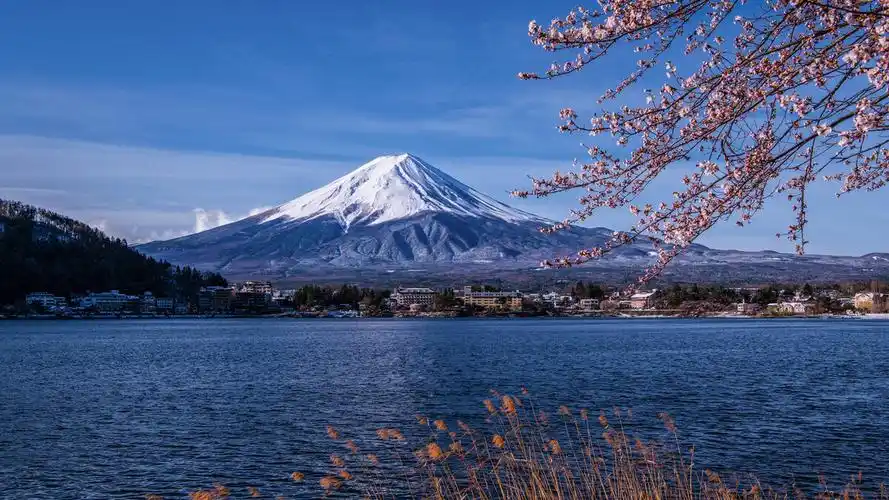 樱花盛开时节的富士山河口湖