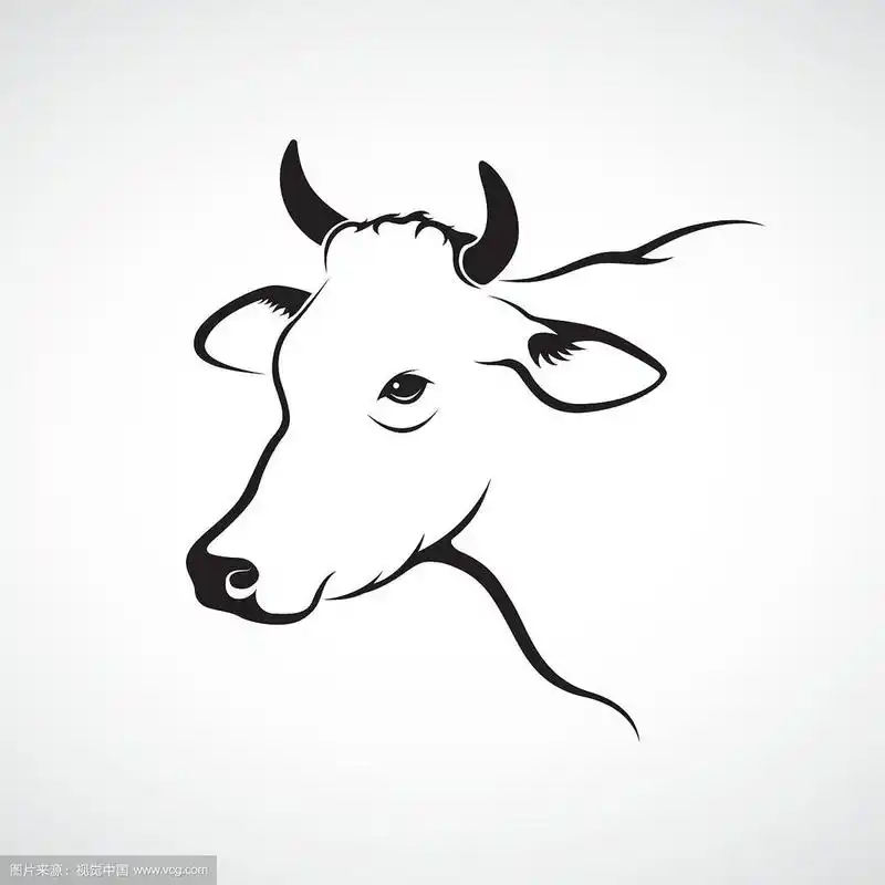 牛头的图像
