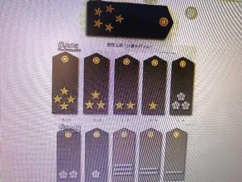 展开全部 国民党中校军衔,校官是梅花,将官是五角星金色的.