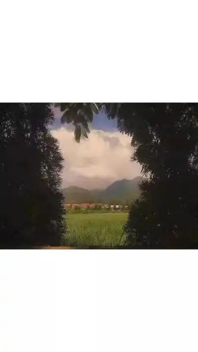 森系海报背景 - 堆糖,美图壁纸兴趣社区