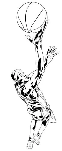 球星插画--james