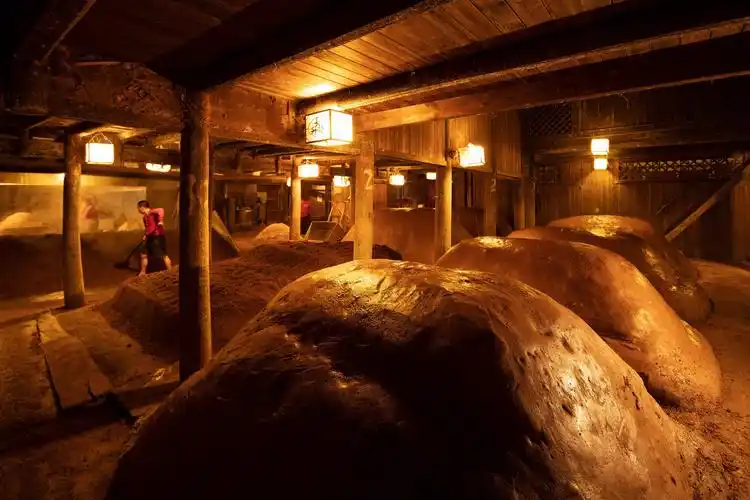 新质生产力为牵引五粮液引领中国酒业高质量发展