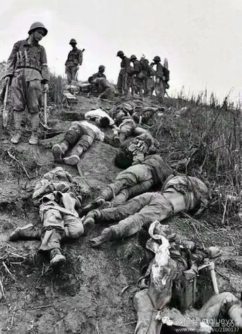 这两个方面加在一起,党中央,中央军委痛下决心,要狠狠教训教训越南!