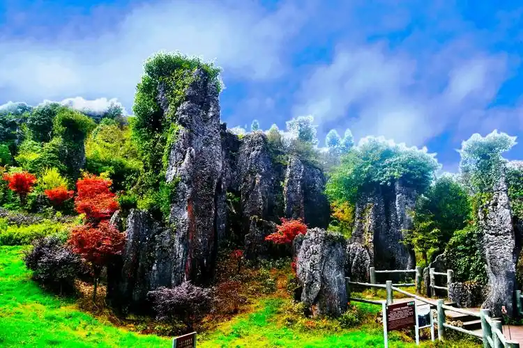 天下奇观〃千年一吻"