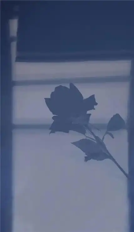 2023蓝色风景图片高清壁纸ins风 我这辈子太辛苦了每天都在熬夜睡觉