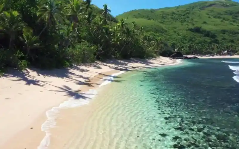 抖音2022年最火11首歌曲,每一首都超洗脑,你最喜欢哪一首?