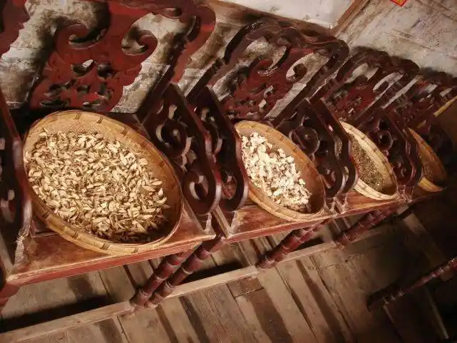 苗族医药的智慧——苗医药(癫痫症疗法)