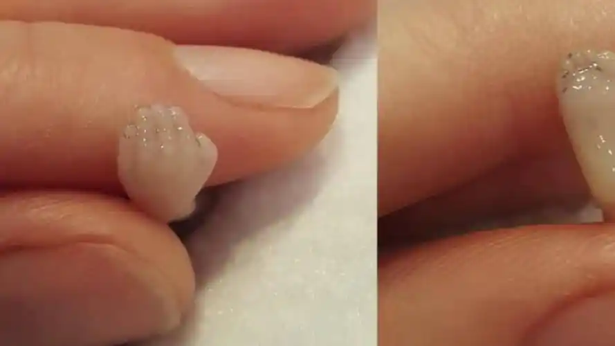 怀孕14周的宝宝流产了伤心的家人将他托在手心