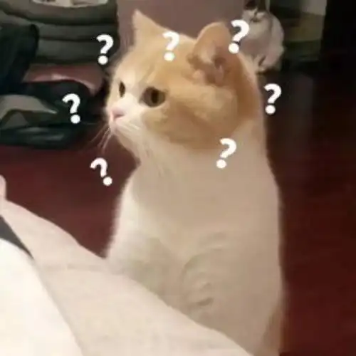 萌宠猫星人满脸问号好奇呆萌可爱gif动图_动态图_表情包下载_soogif