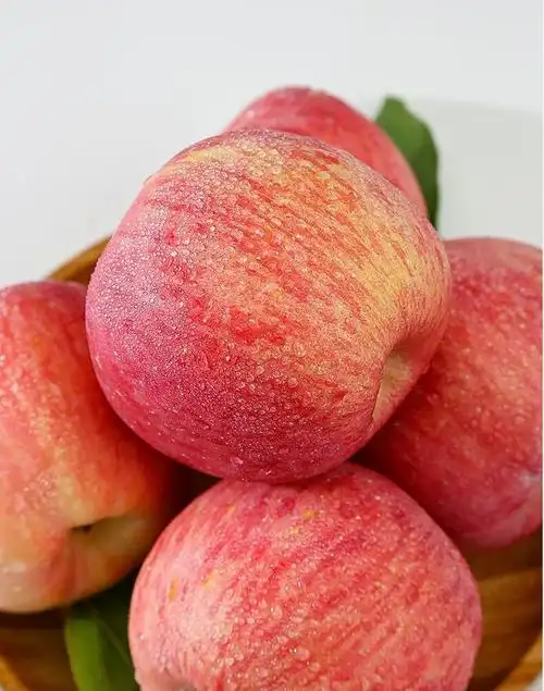 陕西洛川红富士特级大苹果新鲜水果10斤带箱当季整箱平果脆甜特产 9斤