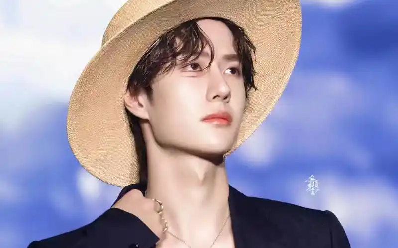 【王一博 肖战】路飞装 芍药花 正衣冠 见良人