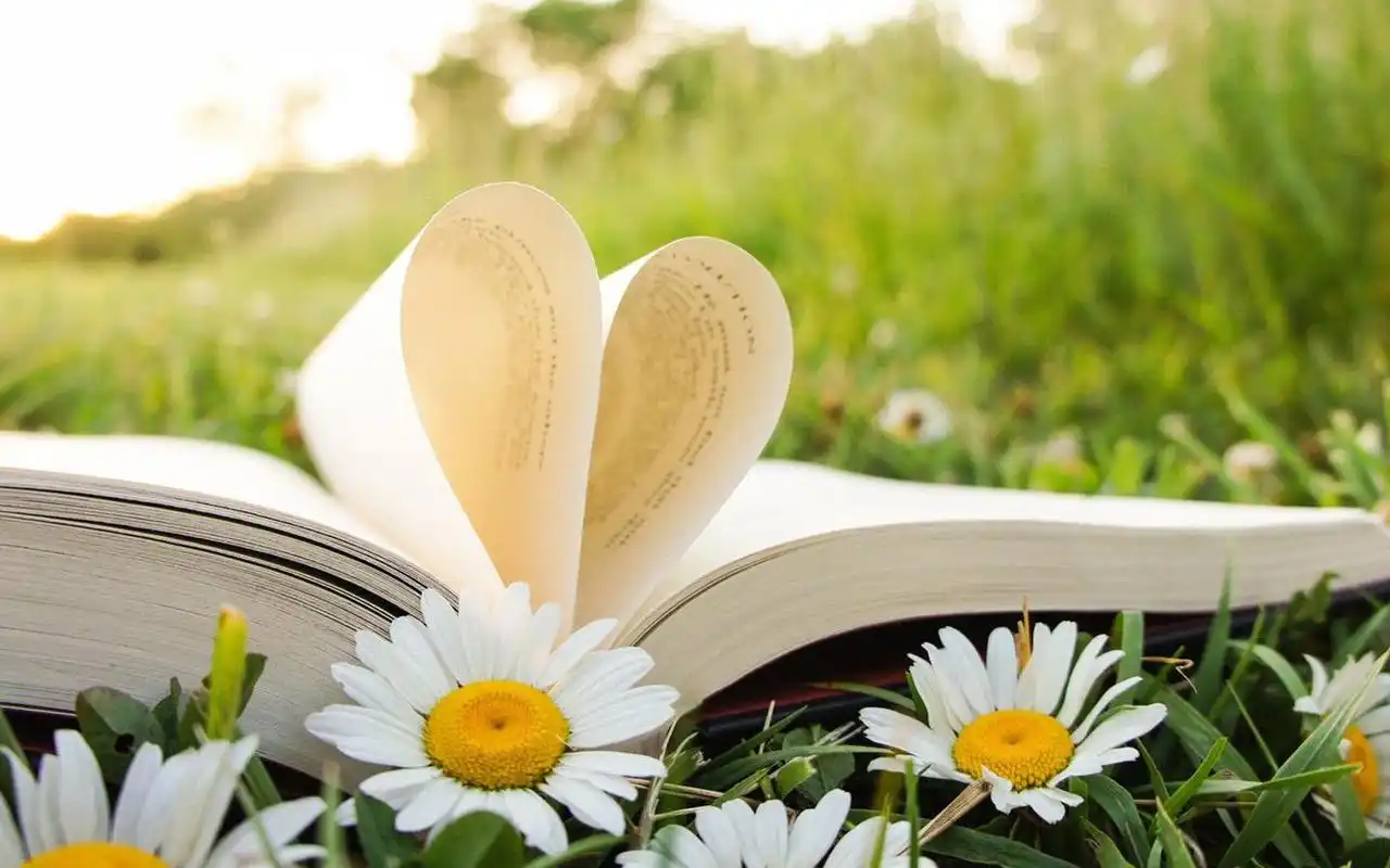唯美静物书本爱心电脑宽屏壁纸