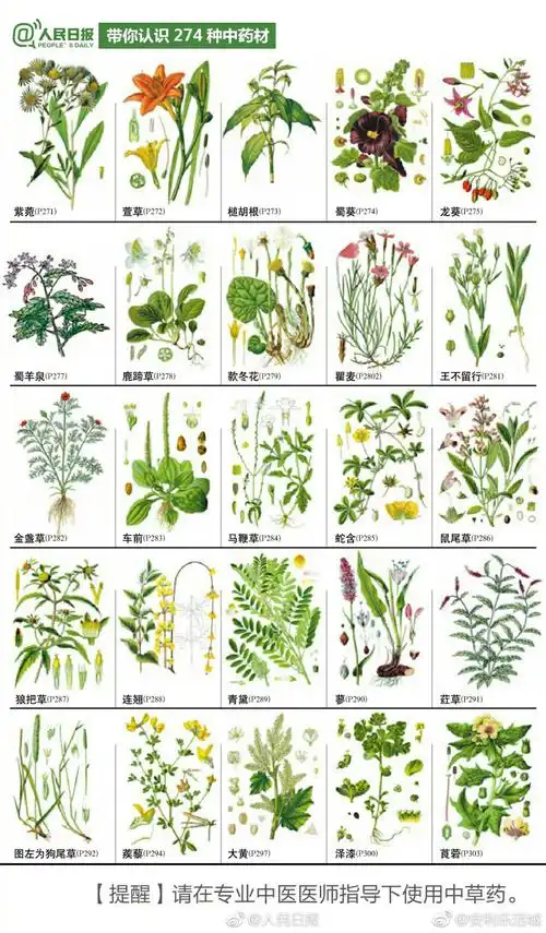 274种中草药
