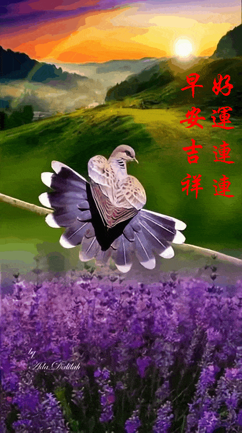 20216116119星期二早安30心语