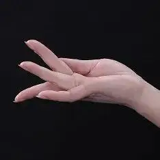 梅馆云端展手舞艺术梅派兰花指摄影展