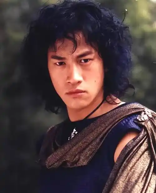 在过去的几年里,何润东在许多古装剧中扮演的角色造型常被人们戏称为"