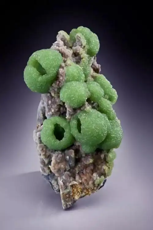 石头开花诡异的美