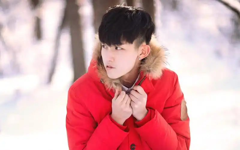 太子妃升职记郭俊辰雪地写真高清电脑桌面壁纸