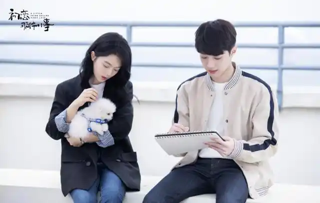 初恋那件小事梁又年夏淼淼的相处模式才是爱情应该有的样子