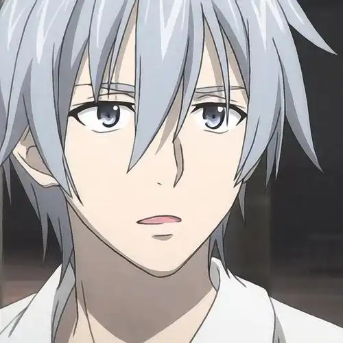 《噬血狂袭》晓古城&姬柊雪菜 #动漫头像##情侣头像##动漫情头