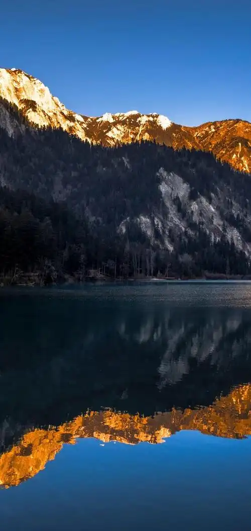 壁纸 风景 摄影 桌面 660_1394 竖版 竖屏 手机