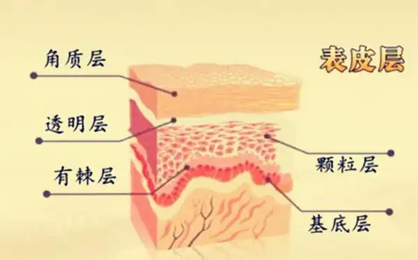 不惜投入百万金,分享解决肌肤敏感的金钥匙