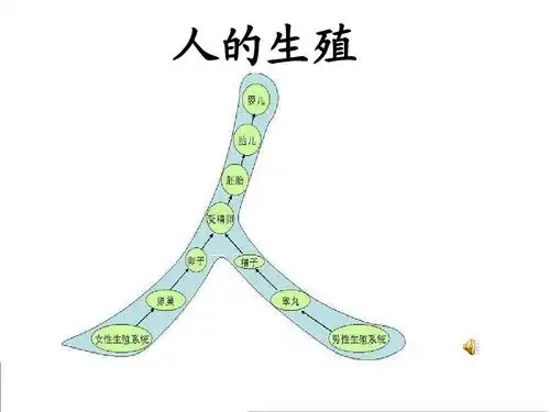 下一页 (共26页,当前第1页) 你可能喜欢 人教版生物人类的起源和发展