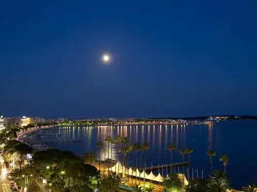 无人,横图,俯视,室外,夜晚,度假,海浪,海洋,美景,植物,城市风光,城市