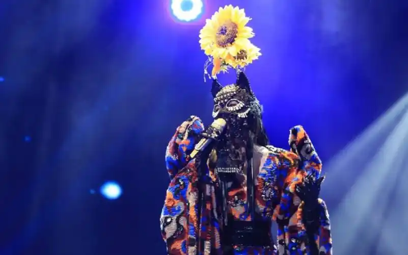 萨顶顶蒙面唱将猜猜猜嗑着瓜子的猫揭面采访问答