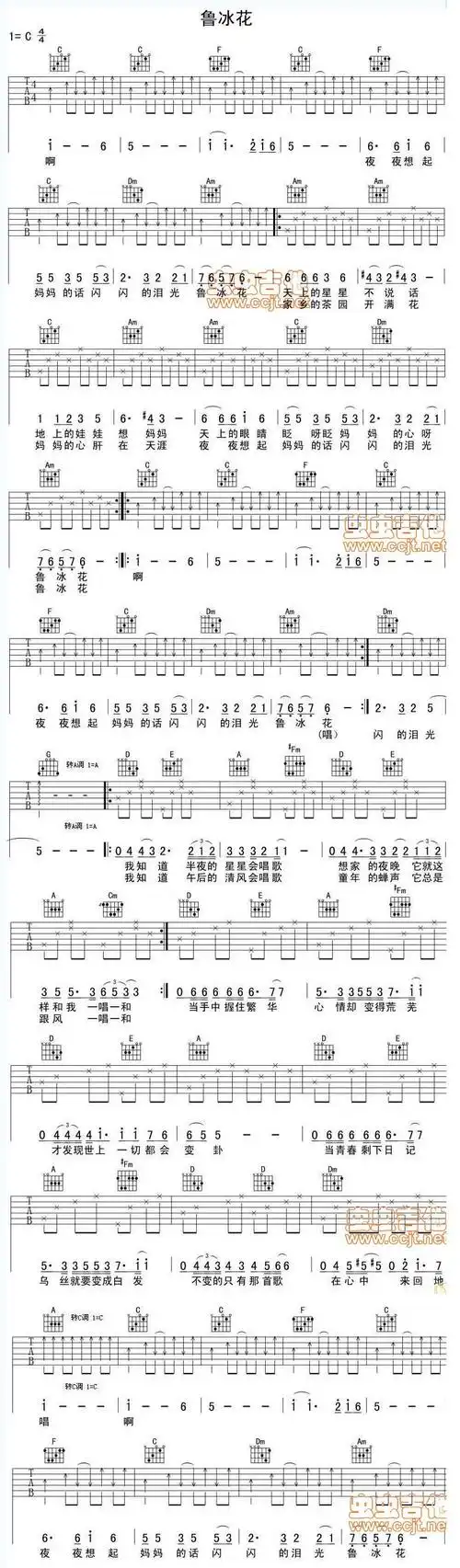 鲁冰花的五线谱