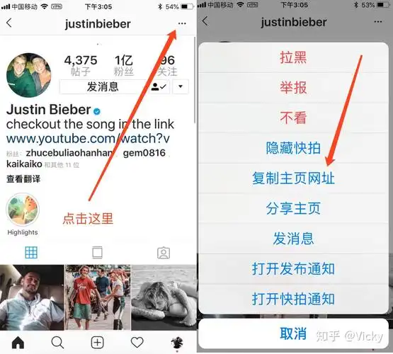 instagram图片视频批量下载教程