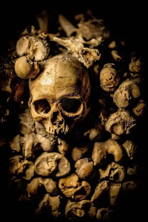 魔骷髅图片下载-摄影图5376462-万素网