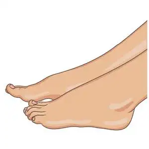 矢量插图, 手绘卡通风格在白色隔离照片