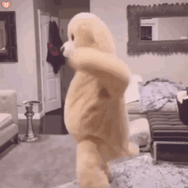 一组玩偶小熊跳舞表情包qwq