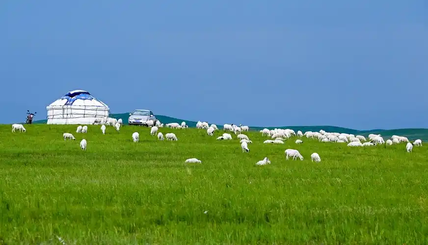 内蒙古打造北疆亮丽风景线
