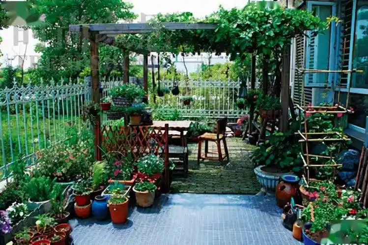26个乡村"庭院小花园",网友直呼:我要回农村建园子