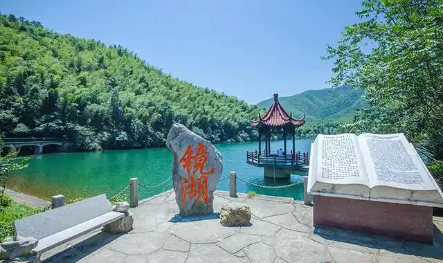 宜兴最大的竹海(宜兴一景区走红)(1)