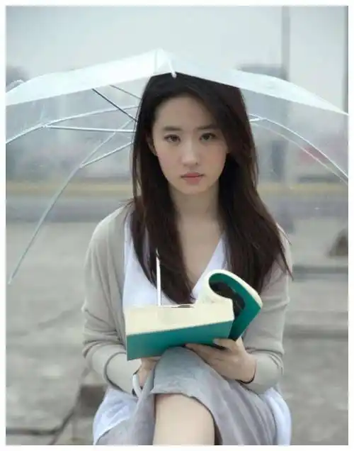 刘亦菲颜值到底多耐看?