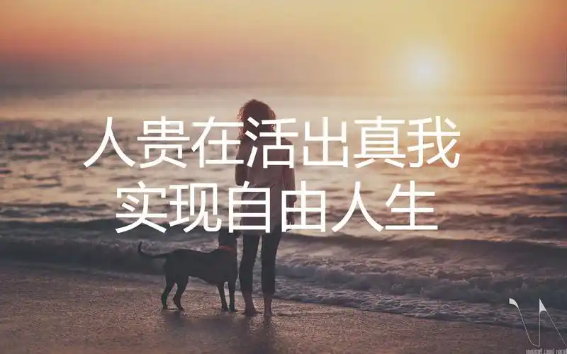 庄子的智慧:人贵在活出真我,实现自由人生.书评《庄子》