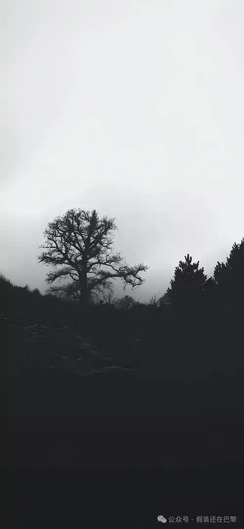 除了黑白,你要允许有灰色的存在.我历山河而来,你的眉目仍惊鸿如初.