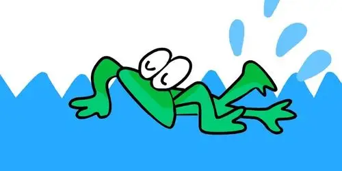 游泳的青蛙