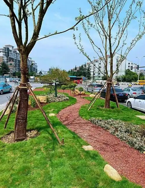 新光路与长江北路交叉口实景图 (道路中分带和渠化岛"小花园")